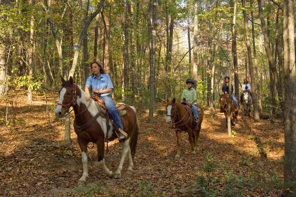 Brasstown Valley Resort & Spa Young Harris 외부 사진