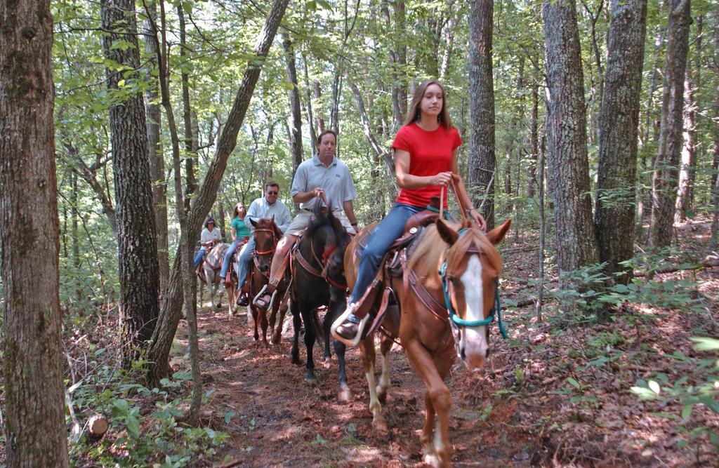 Brasstown Valley Resort & Spa Young Harris 외부 사진