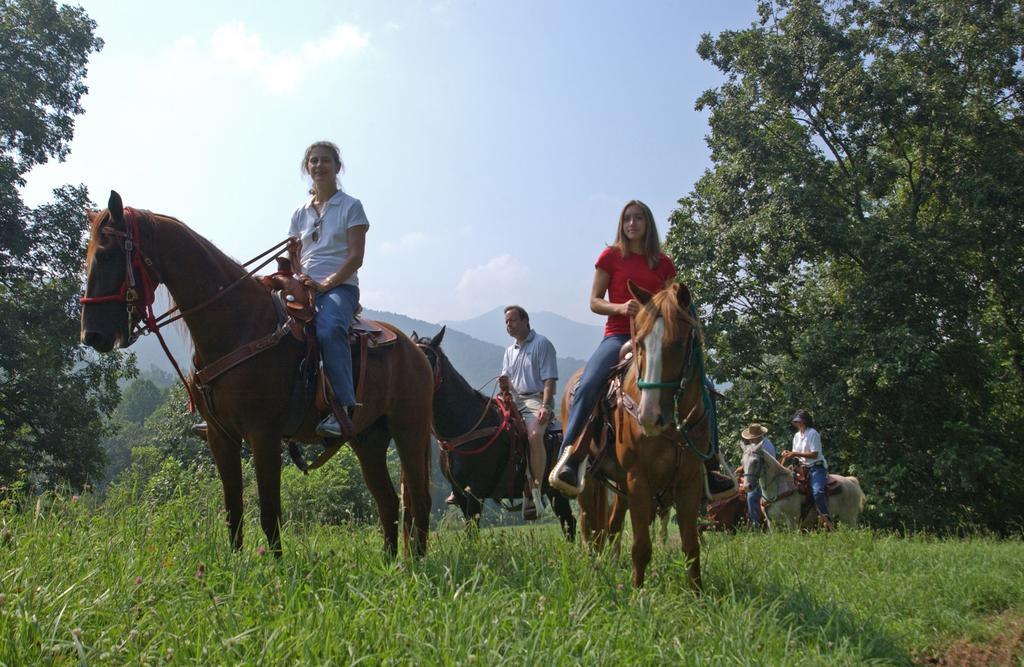 Brasstown Valley Resort & Spa Young Harris 외부 사진