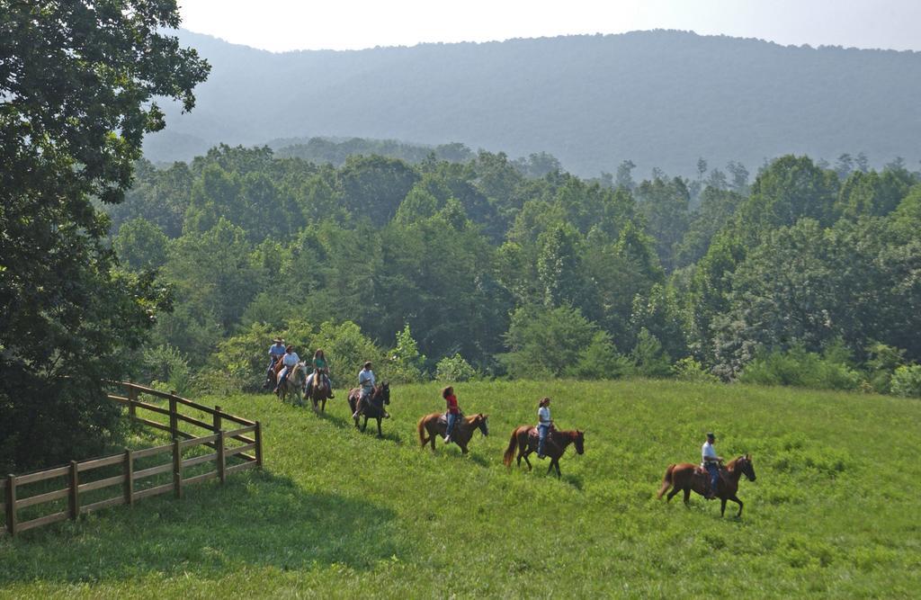 Brasstown Valley Resort & Spa Young Harris 외부 사진